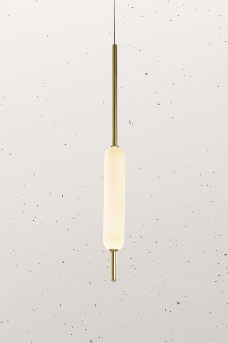 Typha 285.01.ON