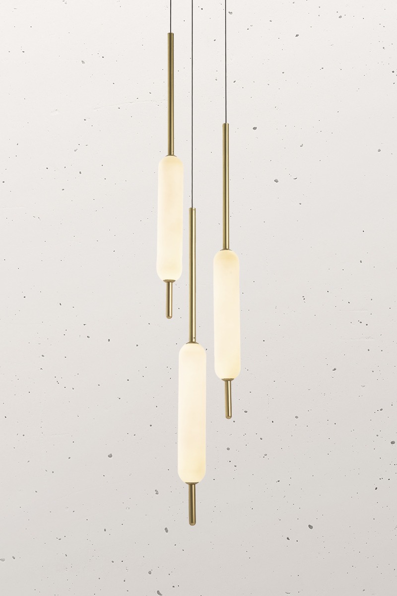 Typha 285.02.ON